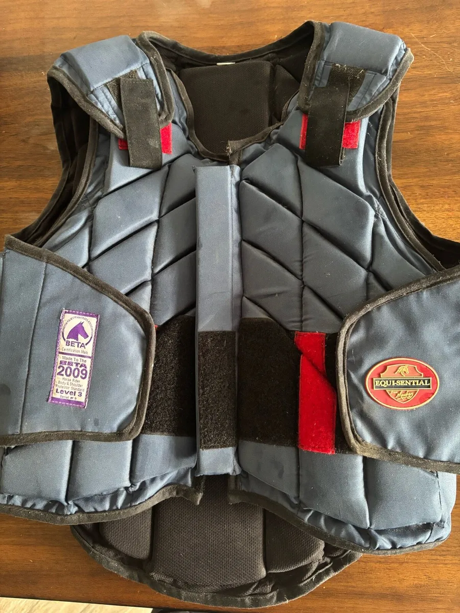 Horse riding back protector - Image 1
