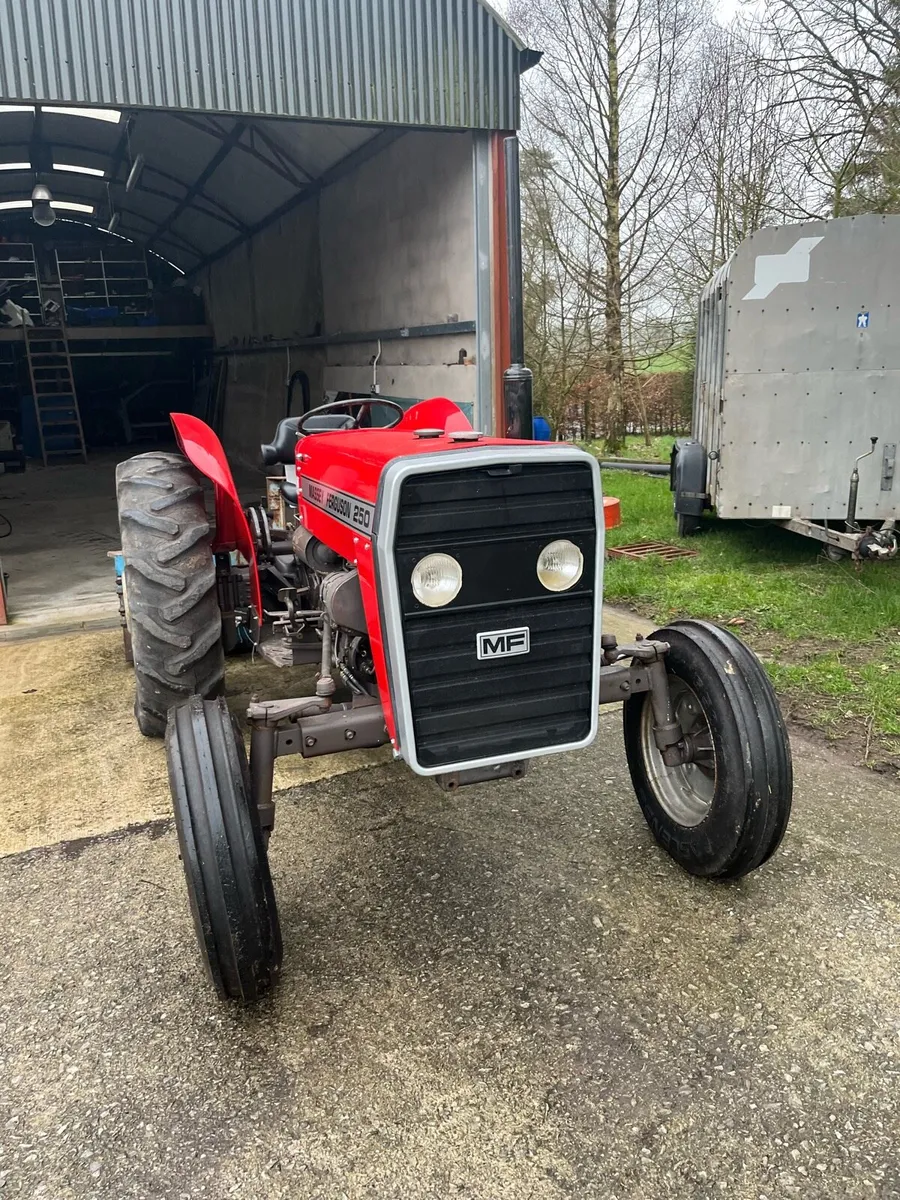 Massey Ferguson 250 *NO VAT* - Image 3