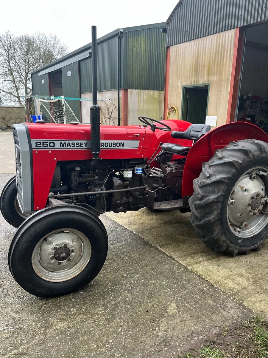 Massey Ferguson 250 *NO VAT* - Image 1
