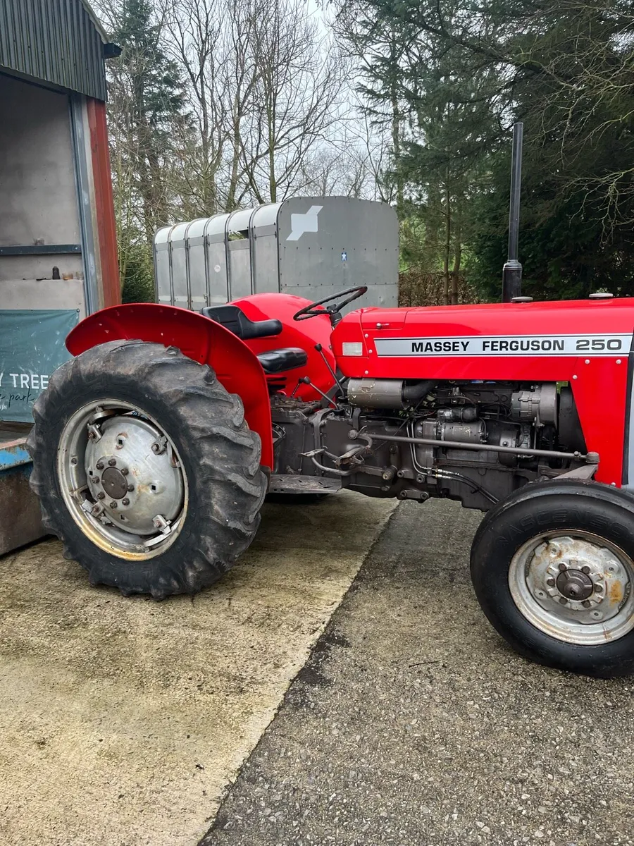 Massey Ferguson 250 *NO VAT* - Image 2