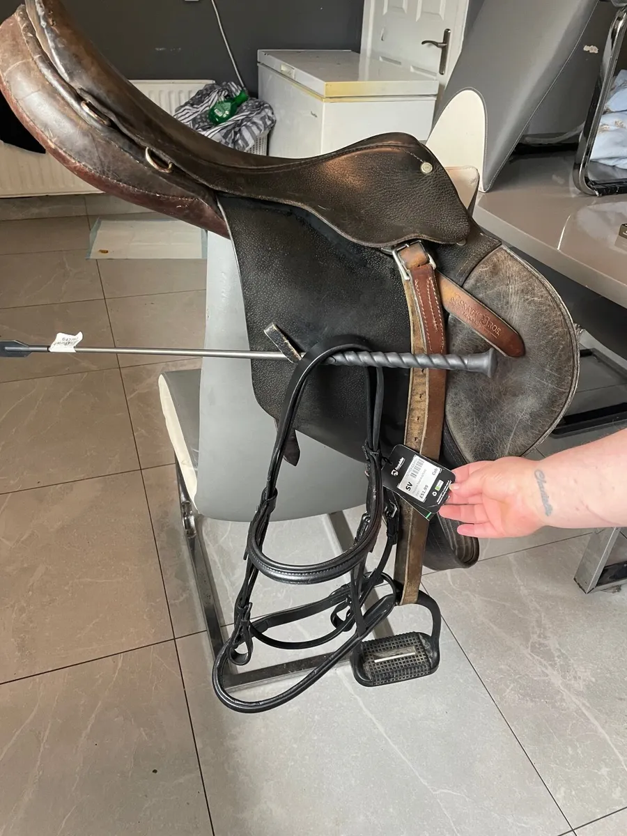 Saddle - Image 2