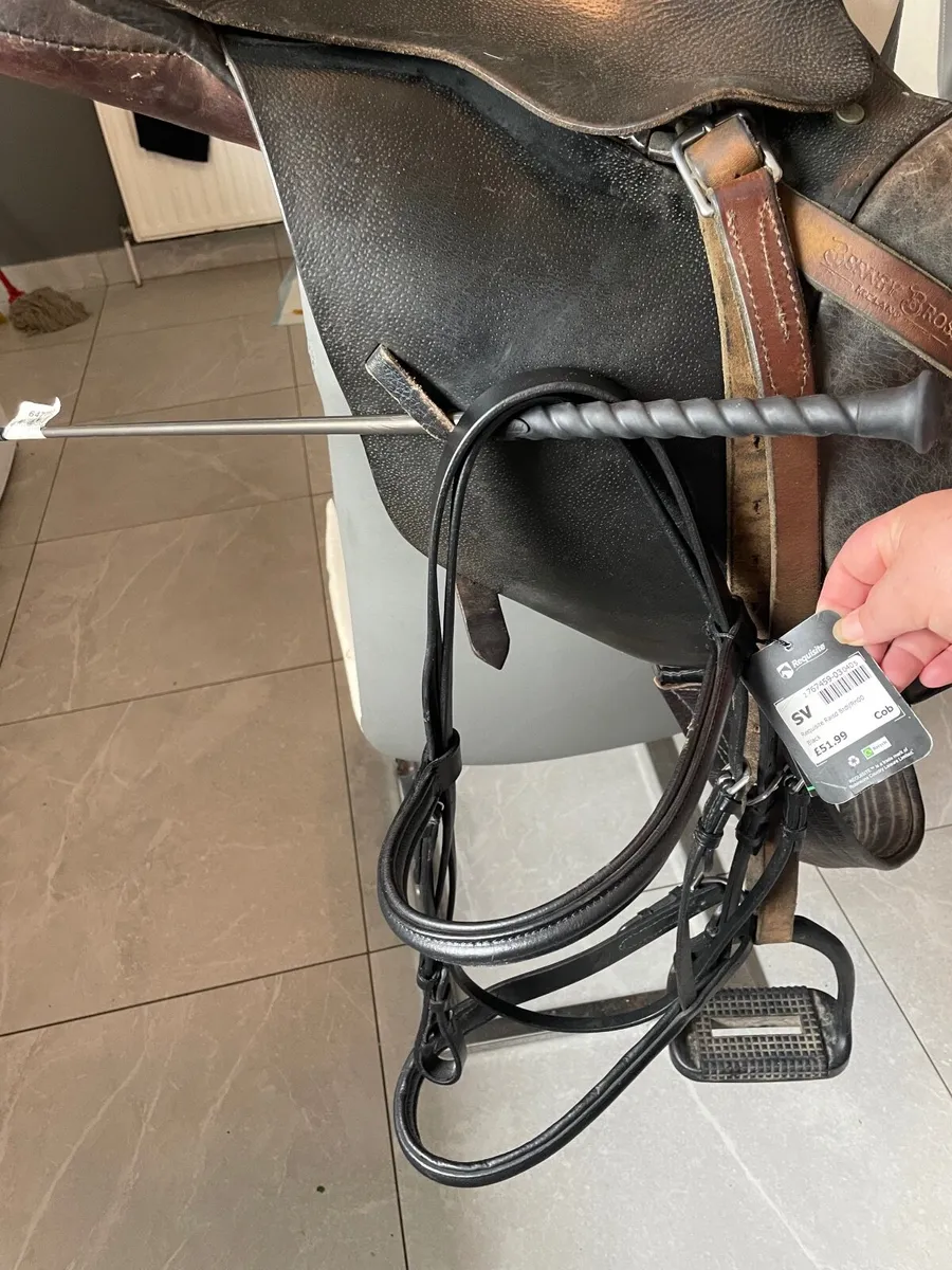 Saddle - Image 3