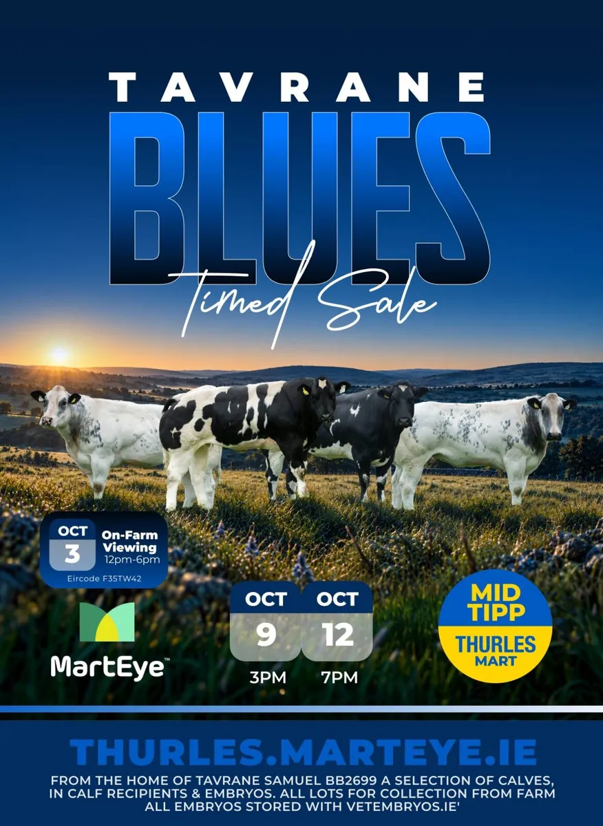 Pedigree and Commercial Embryo Sale