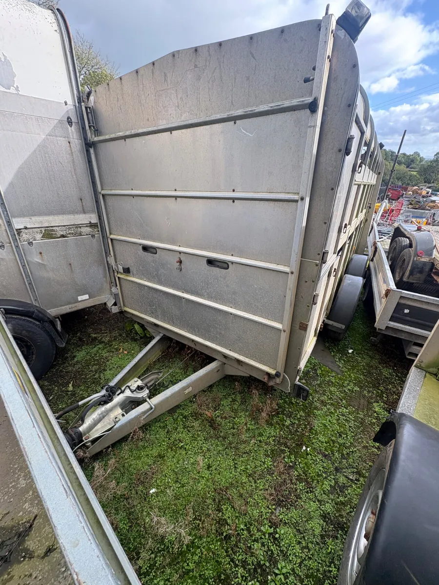 Ifor Williams 12ft cattle trailer - Image 2