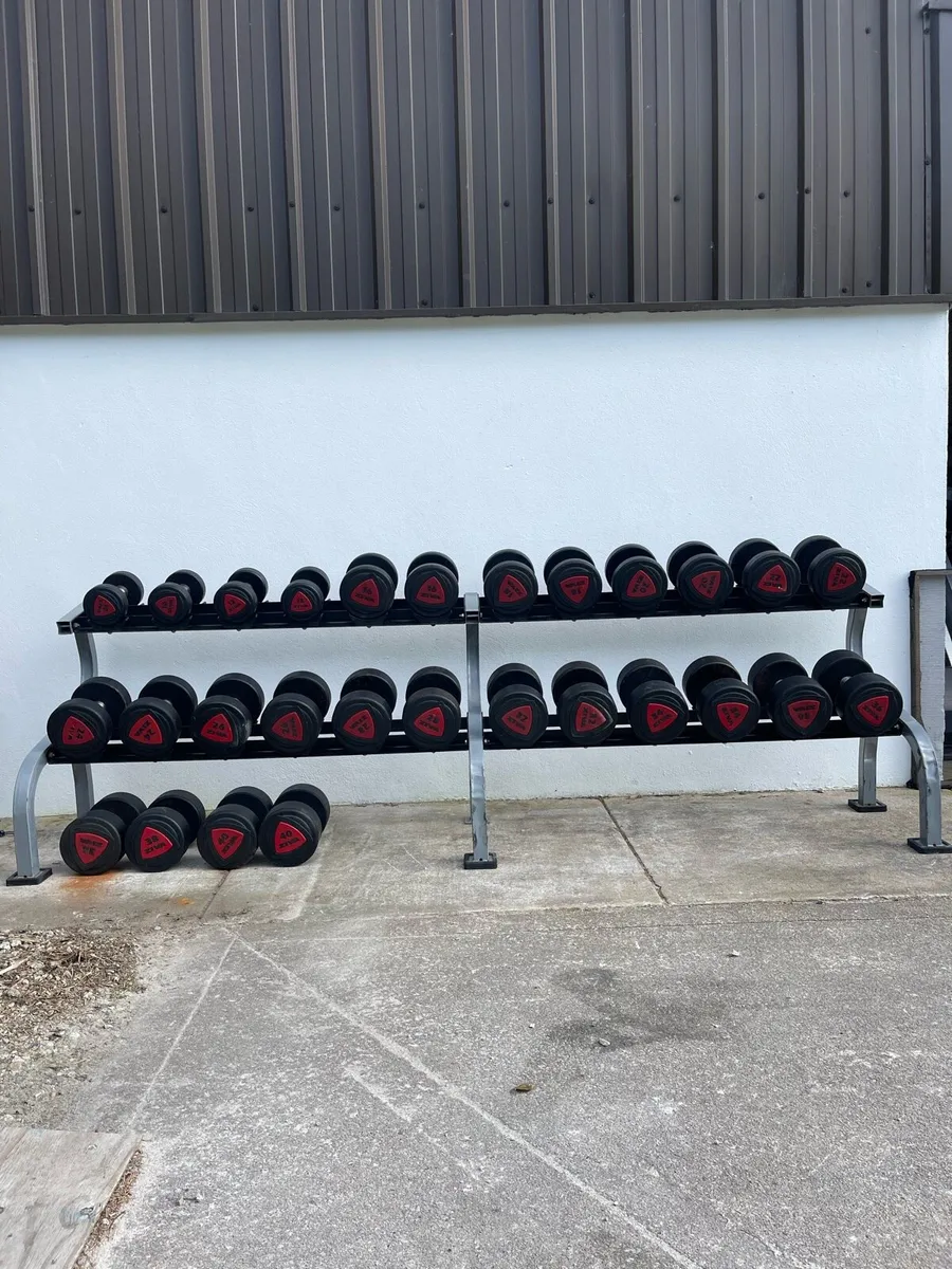 Ziva Polyurethane Dumbbell Set 10 - 40kg & Rack