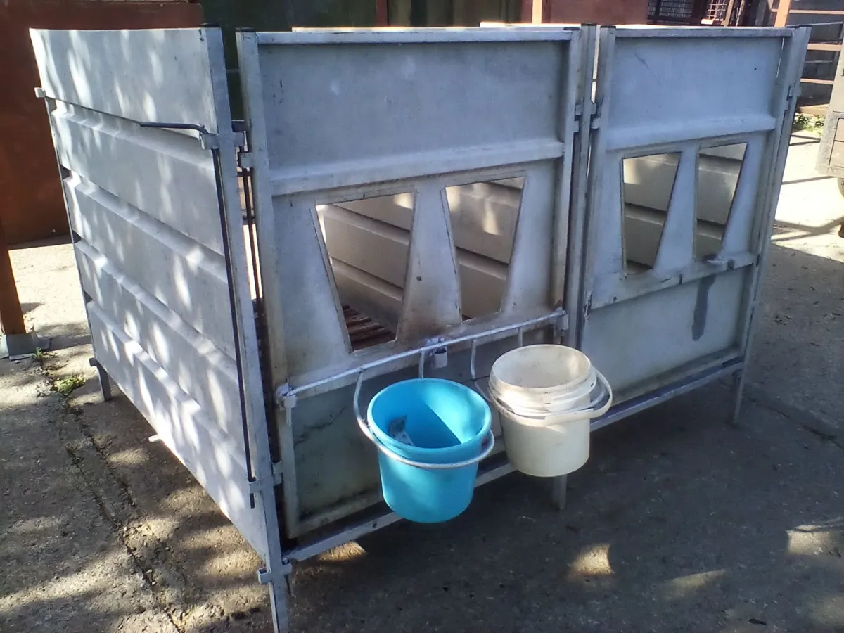 Single calf pens with slats - Image 1