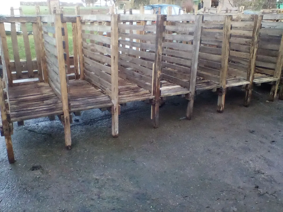 Single calf pens with slats - Image 4