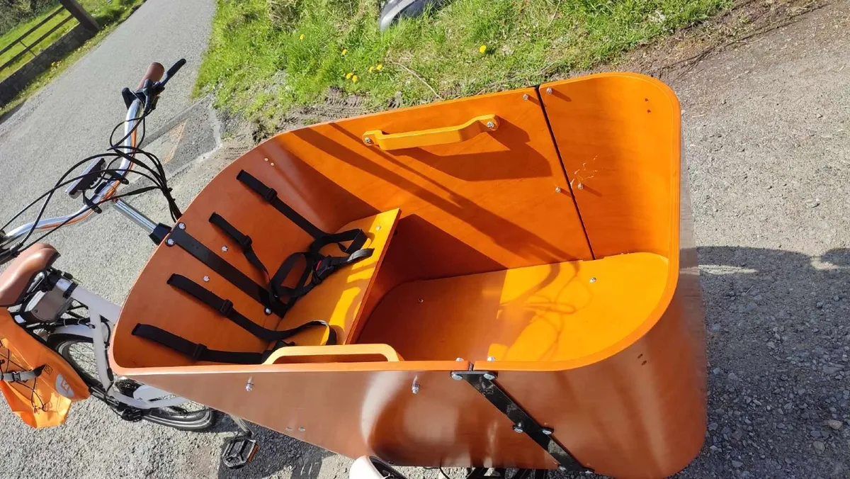 CARGO EBIKE POWER FULL - Image 3
