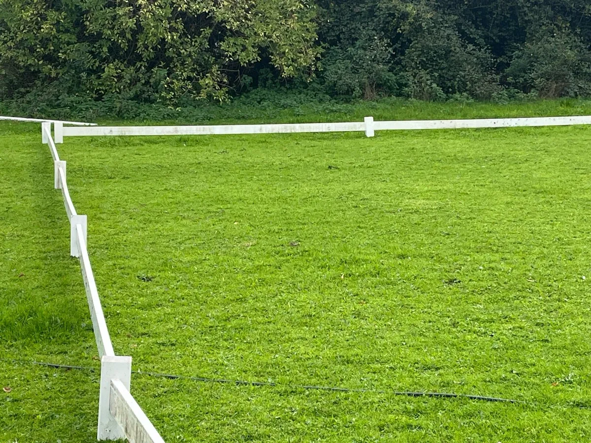 Dressage Arena - Image 2