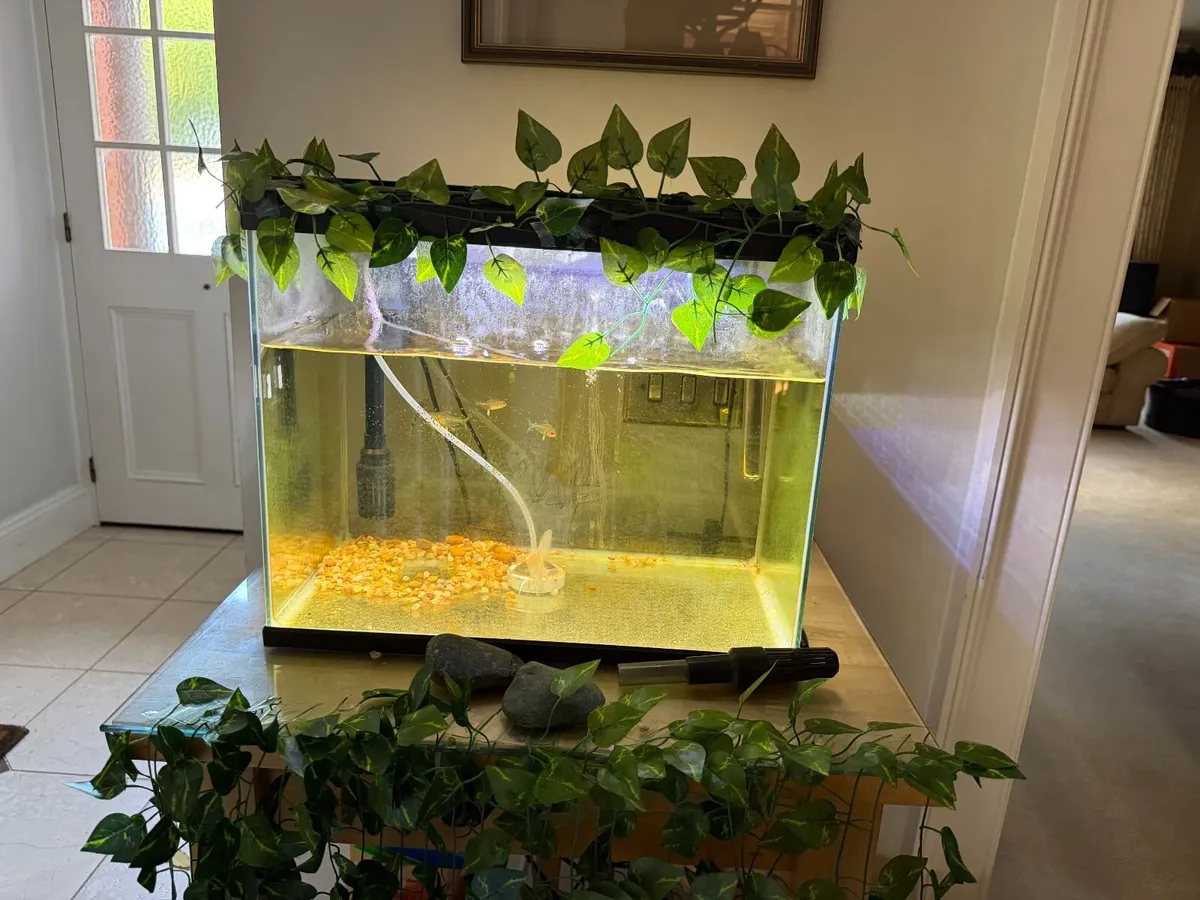 Fish Tank / Aquarium - Image 2