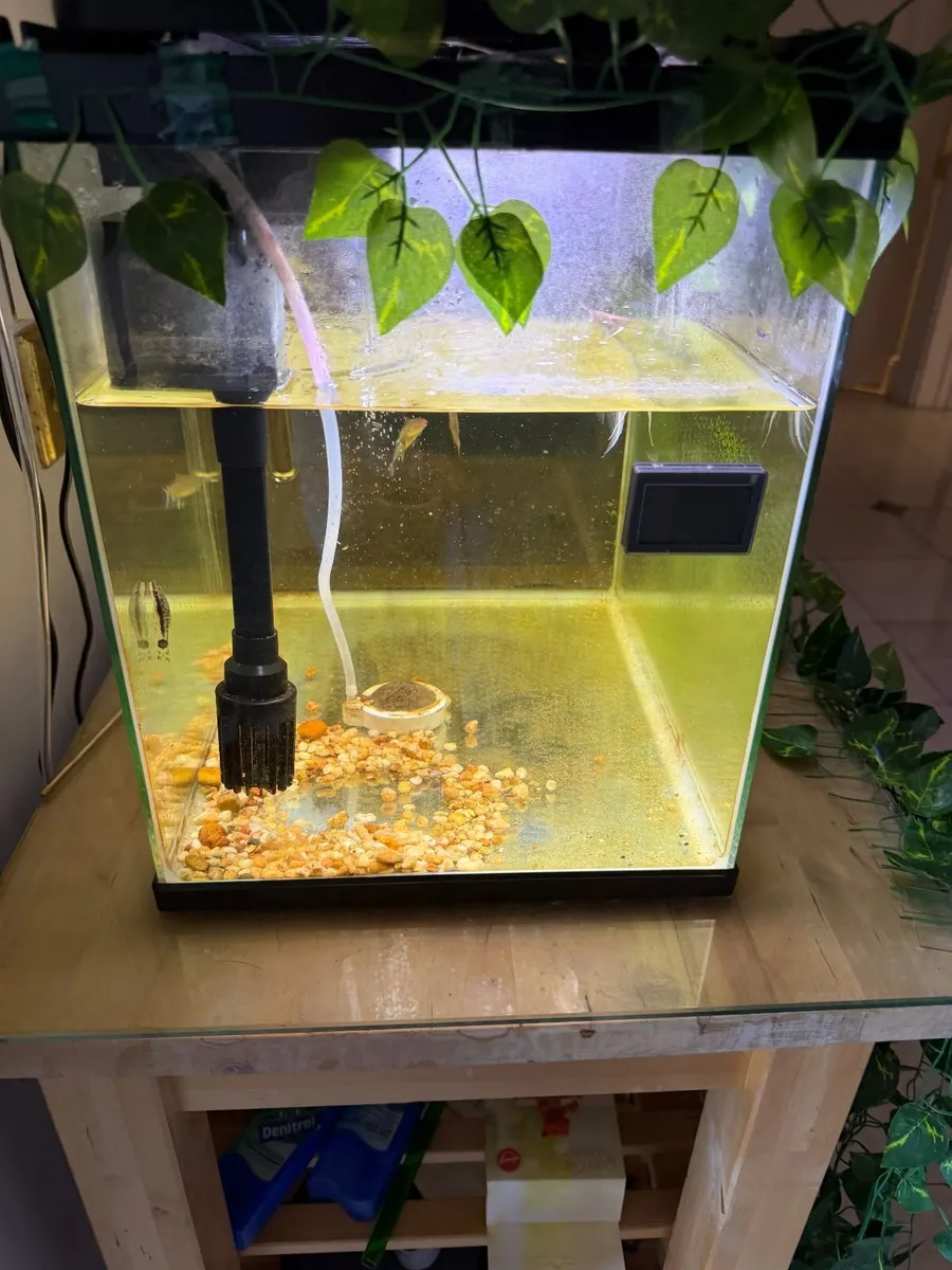 Fish Tank / Aquarium - Image 3