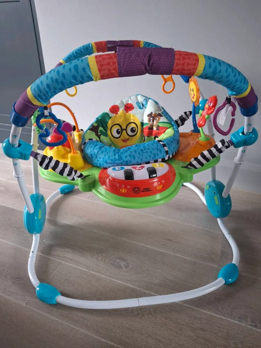 Baby Einstein NeighbourhoodFriends Activity Jumper - Image 1