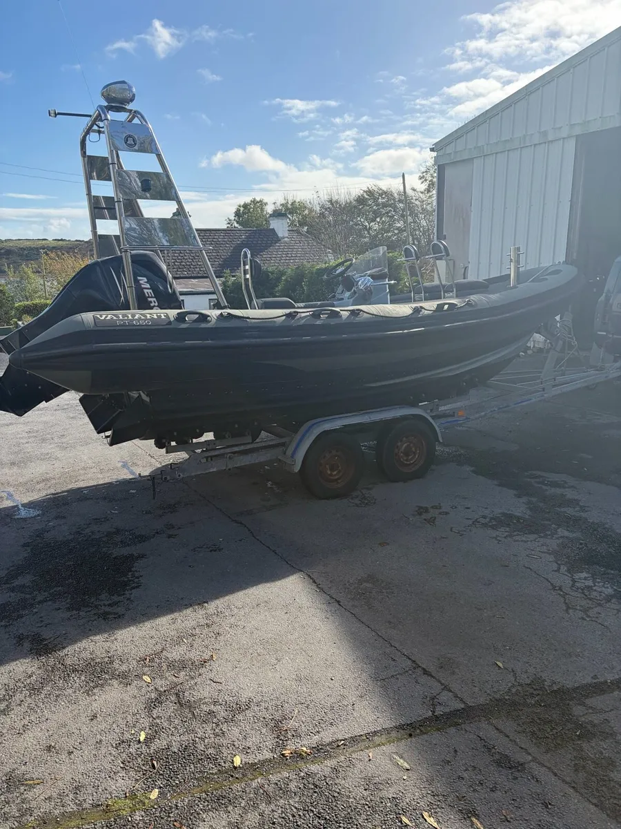 Rib - Image 4