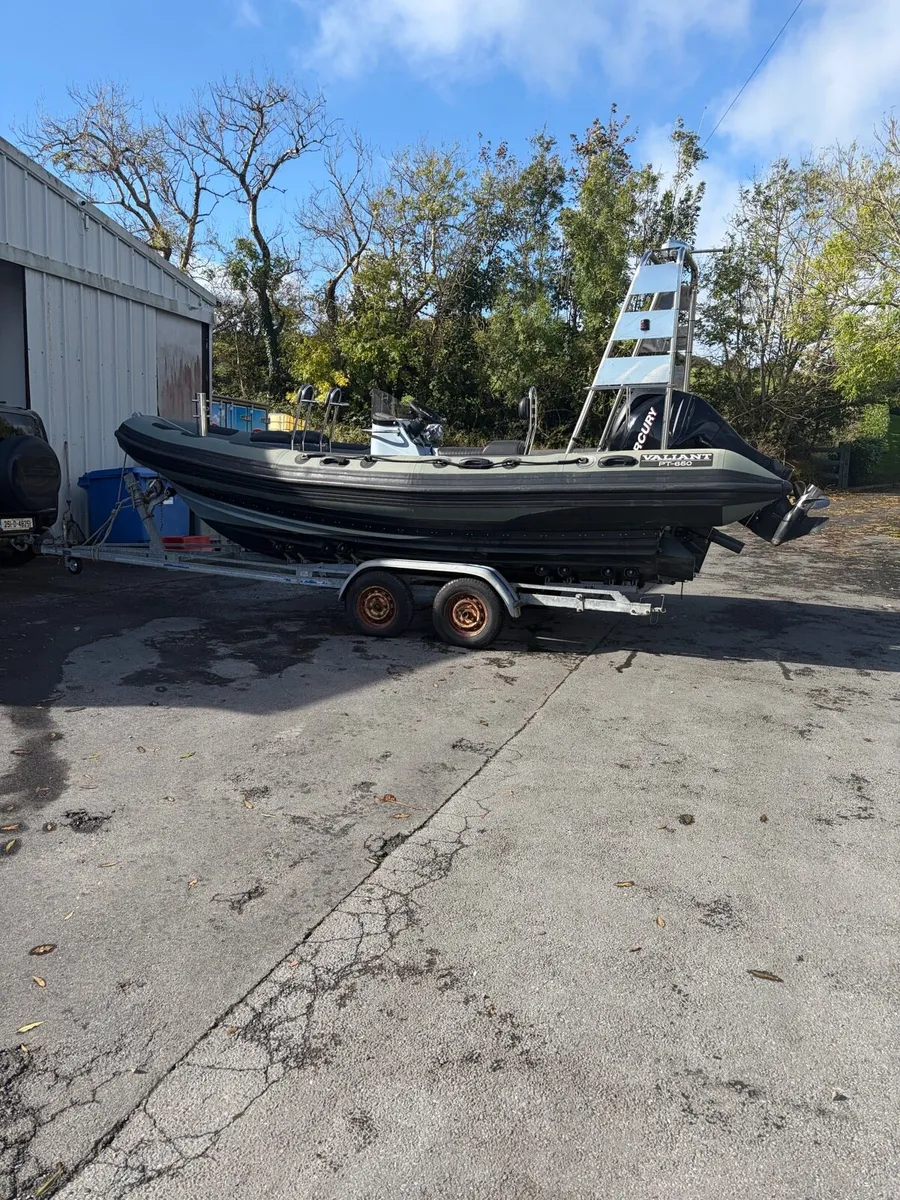 Rib - Image 1