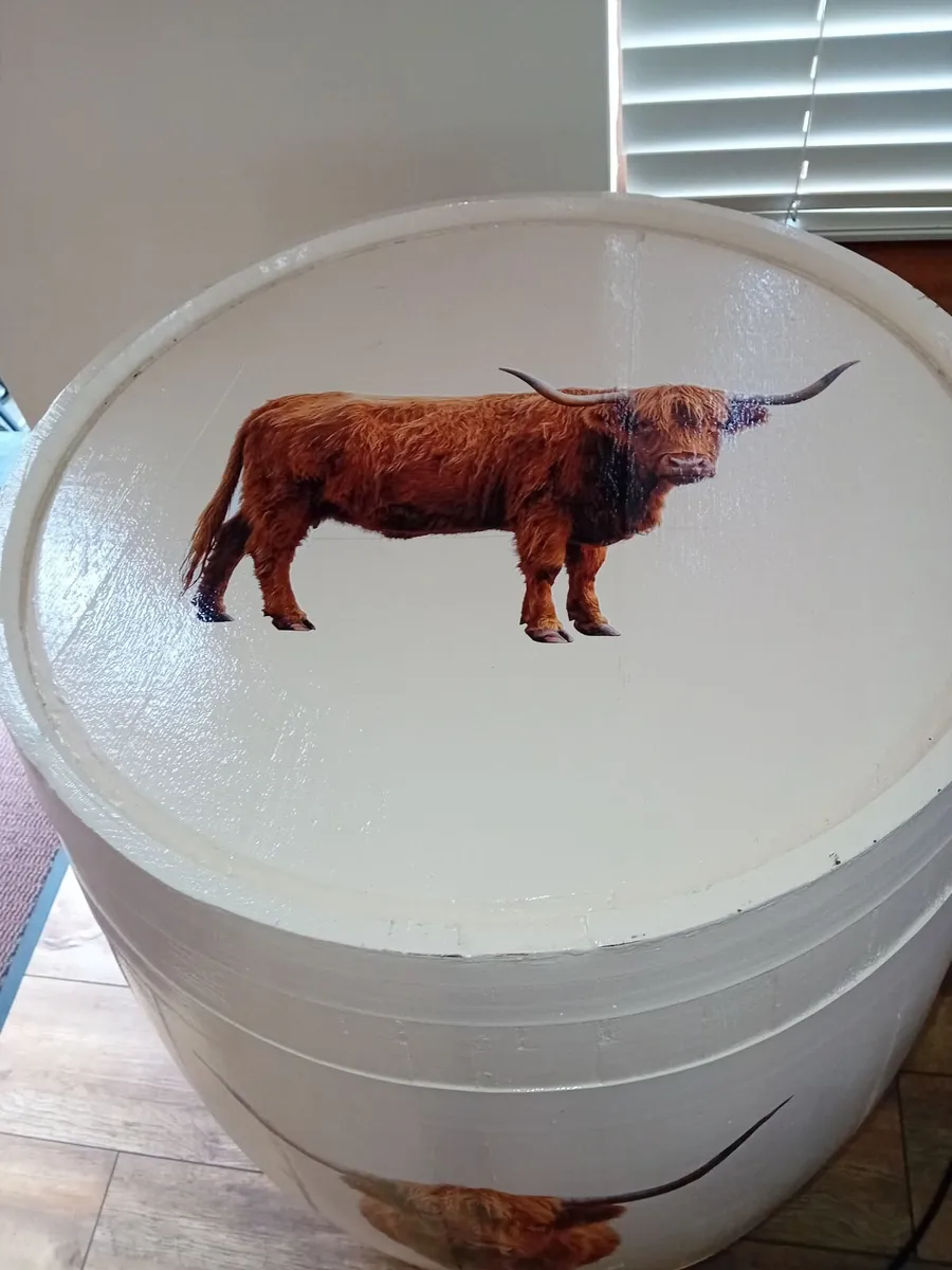Painted Barrels - Image 3