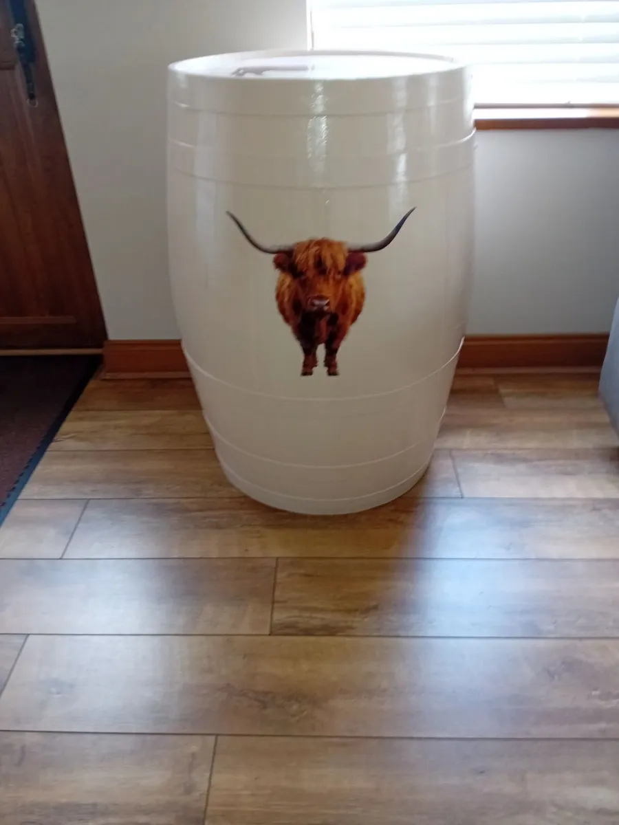 Painted Barrels - Image 4