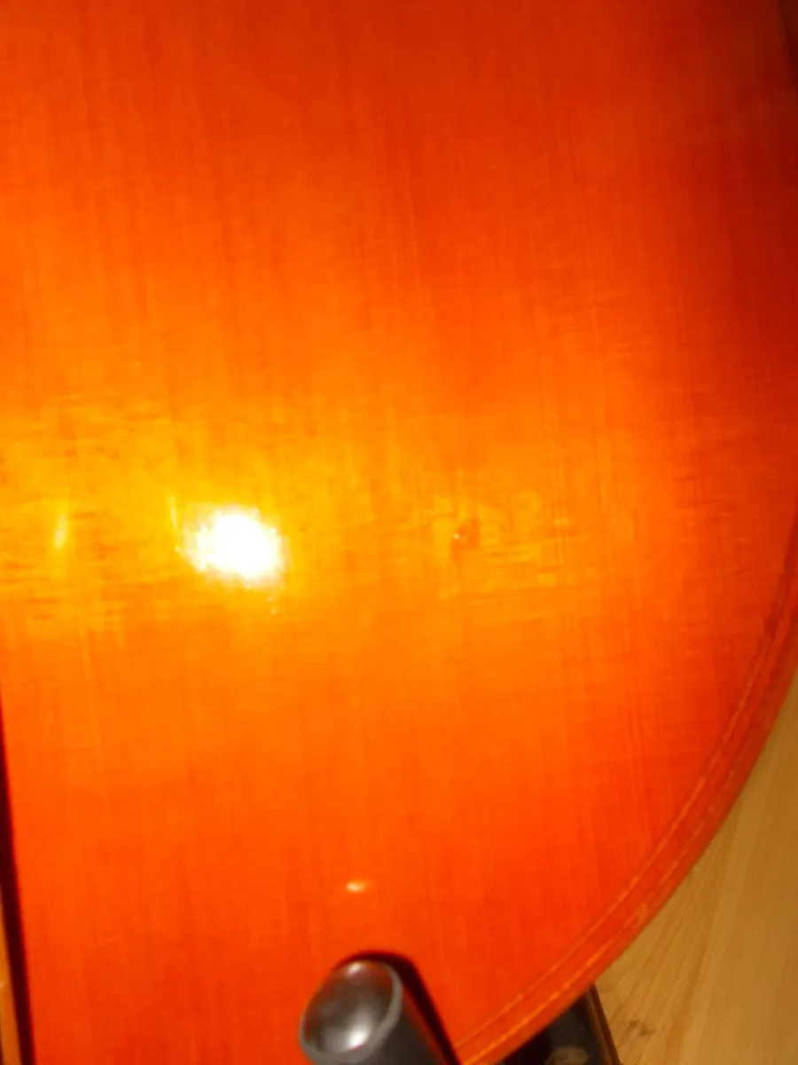 7 String Bass Mu-Li Viola da Gamba - Image 3