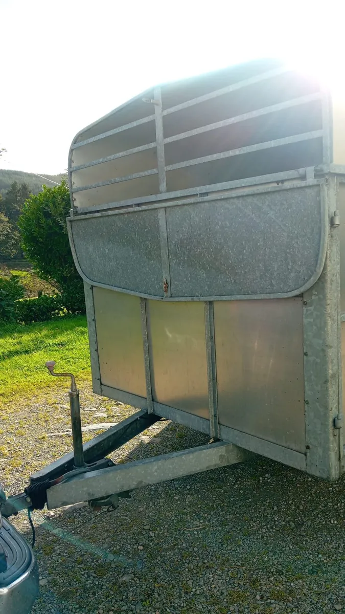 10x6 cattle sheep trailer - Image 3