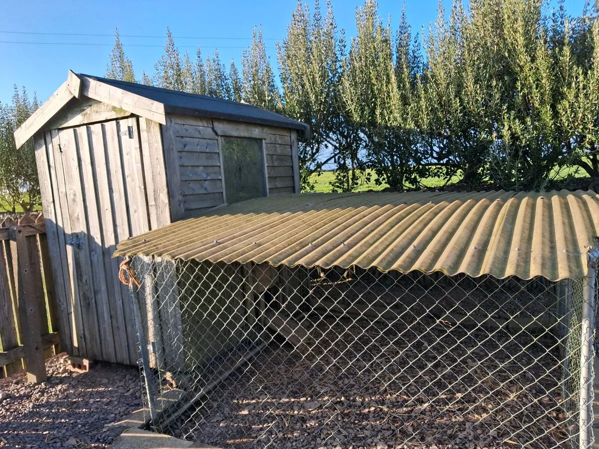 Hen house (4ft x 6ft) & hen run - Image 1