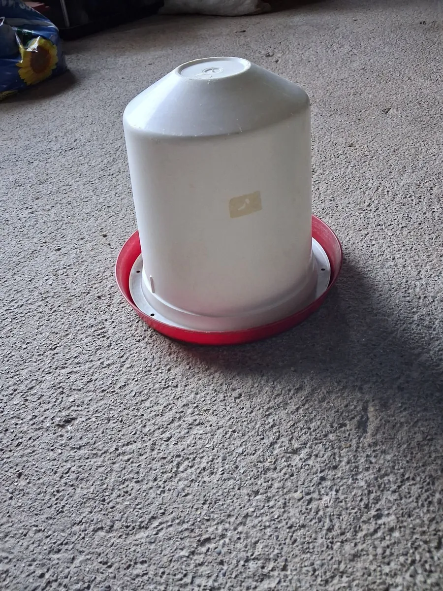 Hen house (4ft x 6ft) & hen run - Image 2
