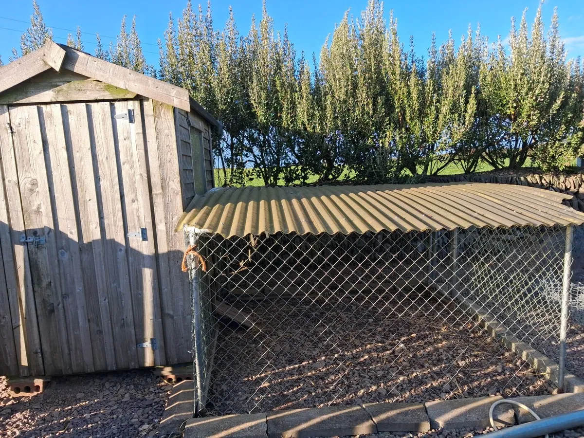 Hen house (4ft x 6ft) & hen run - Image 4