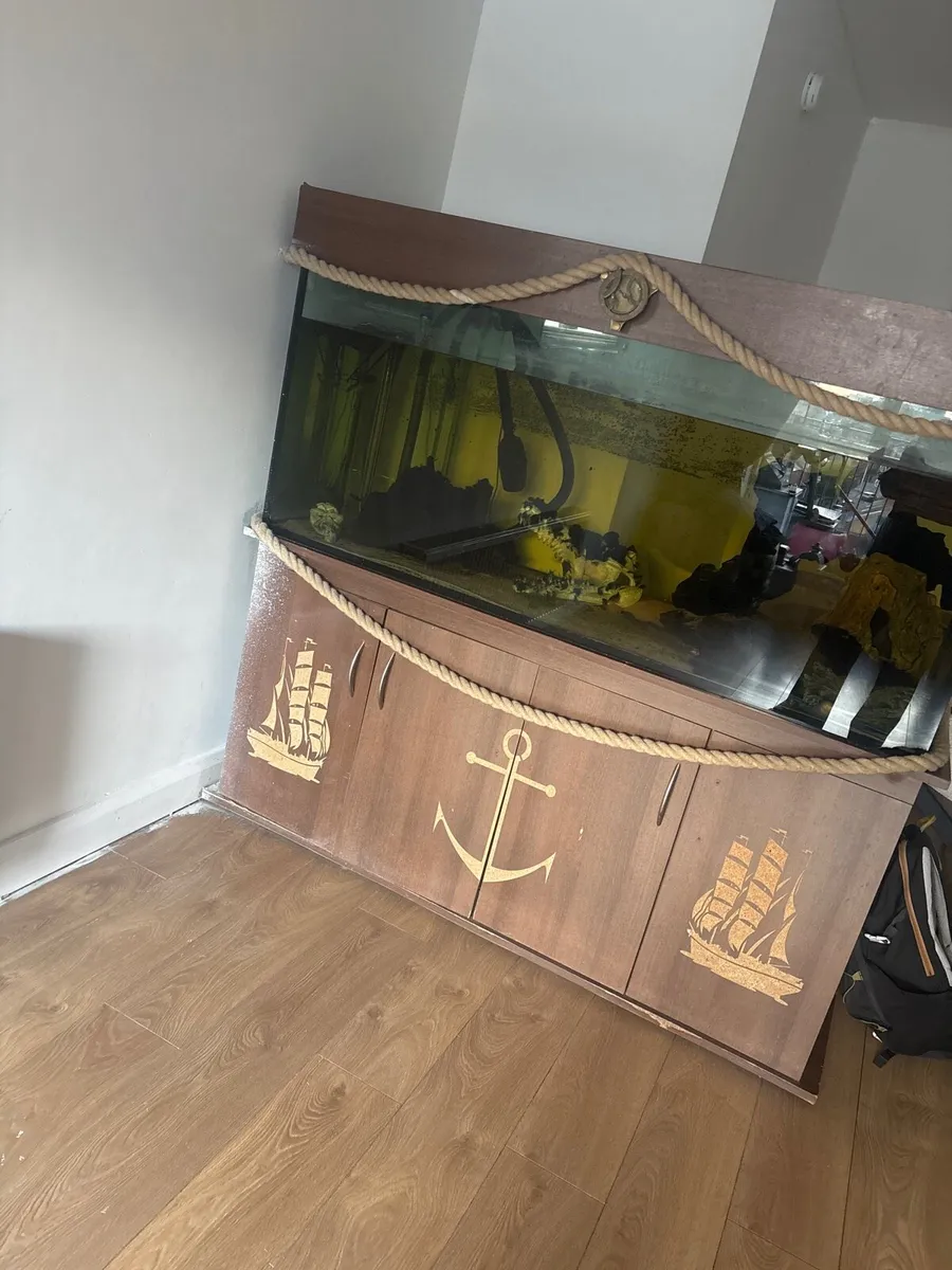 Fish tank - Image 1
