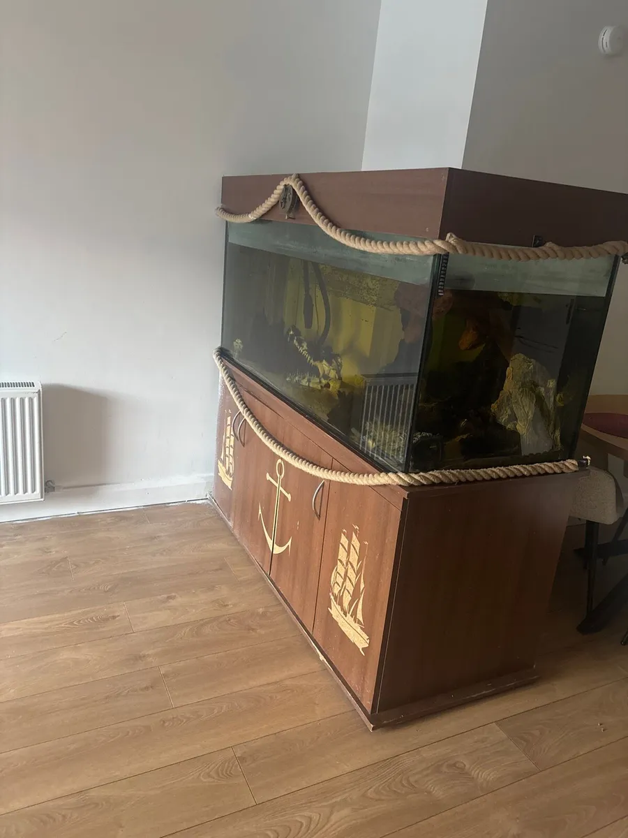 Fish tank - Image 3