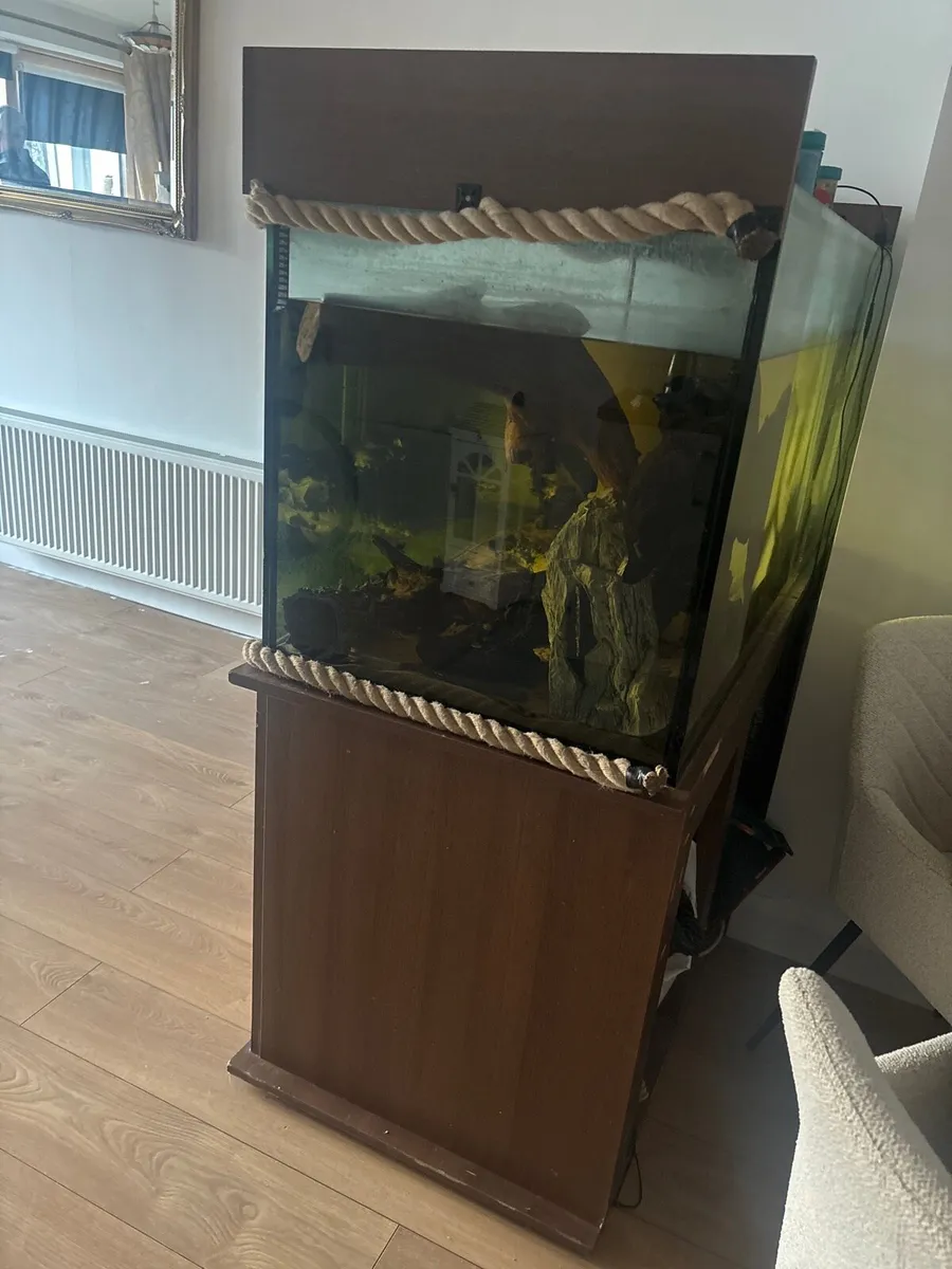 Fish tank - Image 2