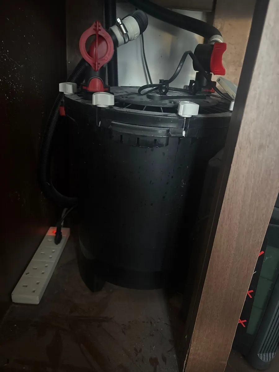 Fish tank - Image 4