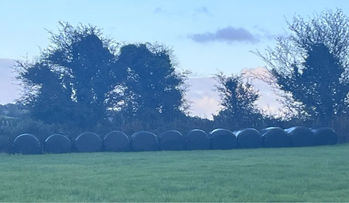 Silage Bales