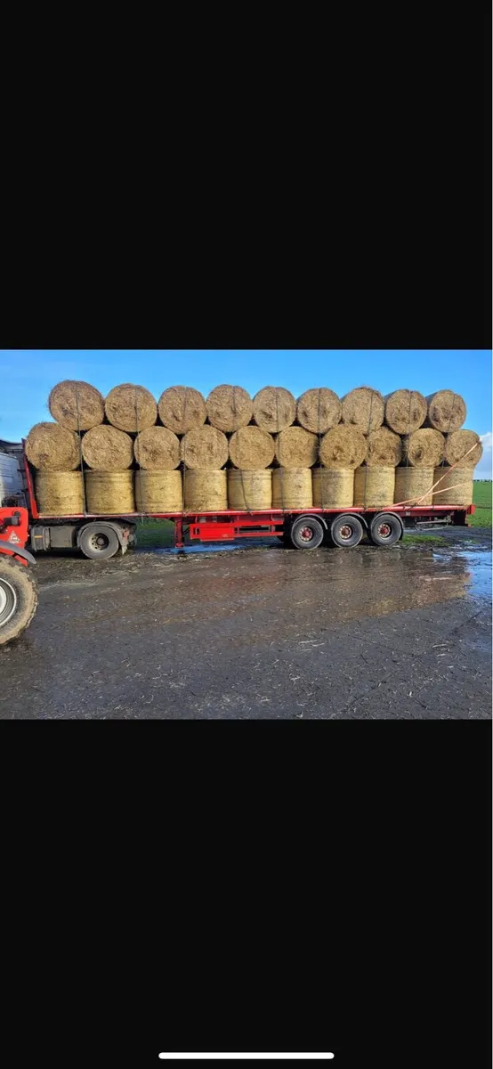 4x4 round bales barley straw