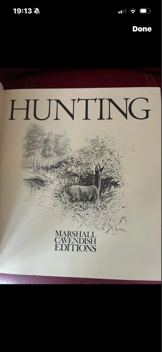 Hunting - Image 3