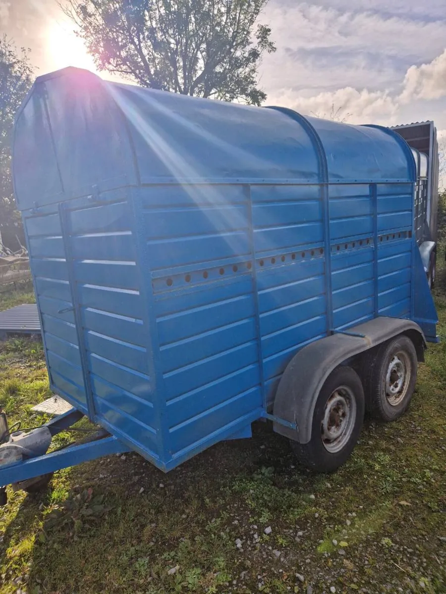 8ft by 4ft livestock trailer - Image 1
