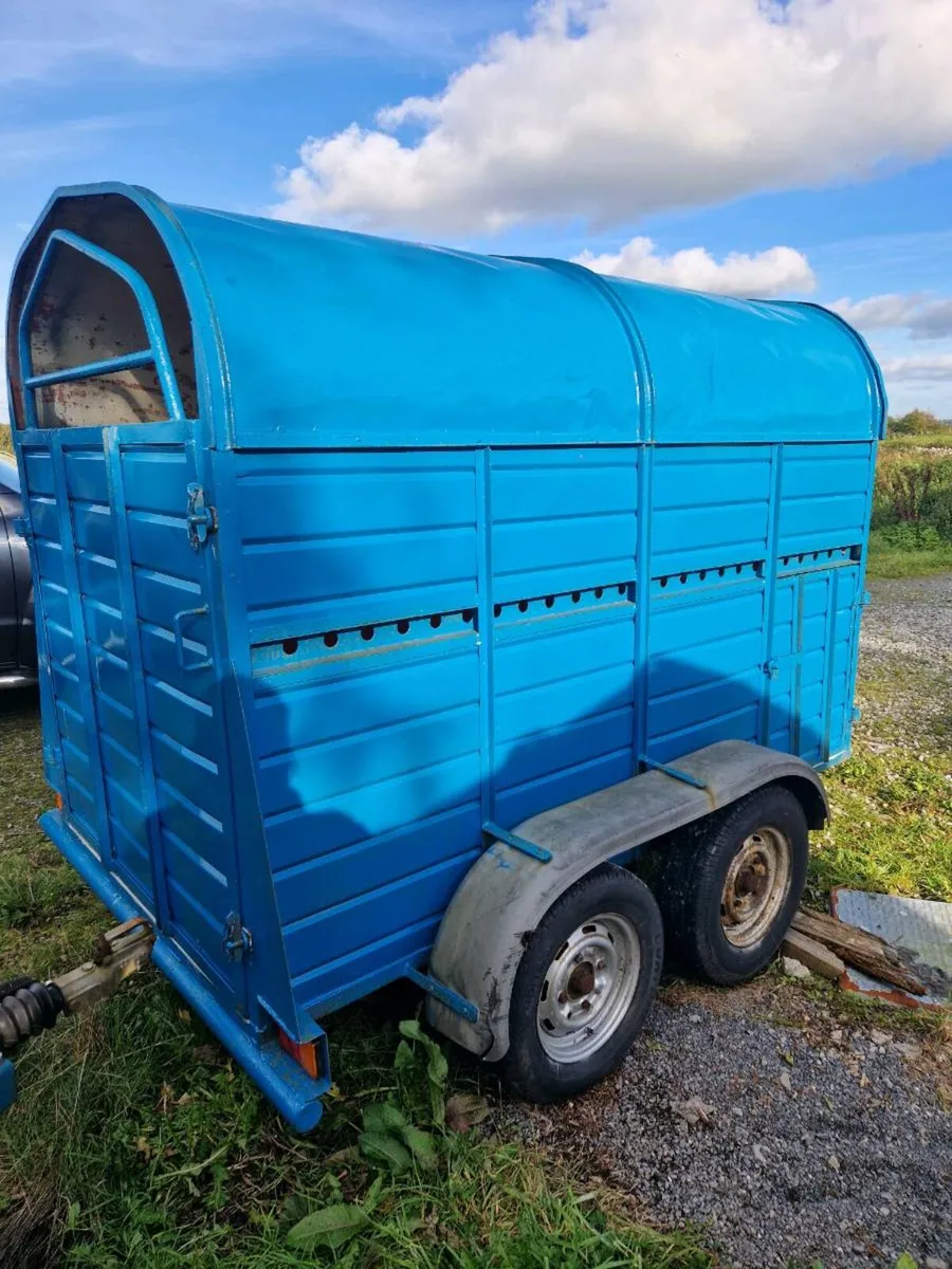 8ft by 4ft livestock trailer - Image 2