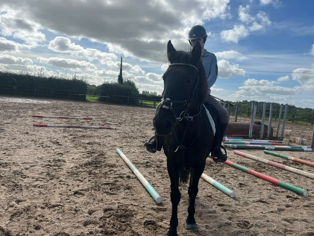 All rounder part loan available - Image 3
