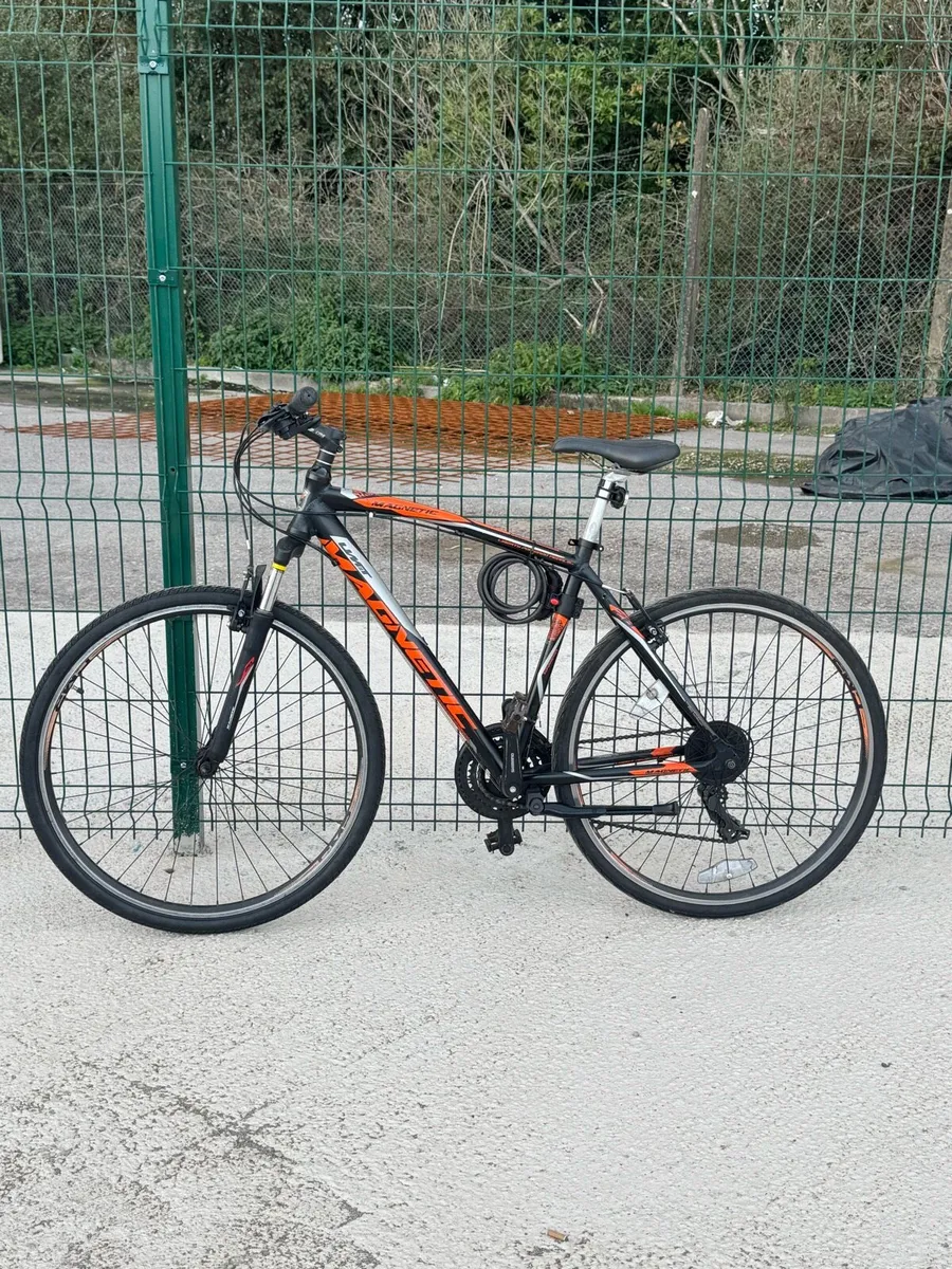 Adults magnetic bicycle - Image 1