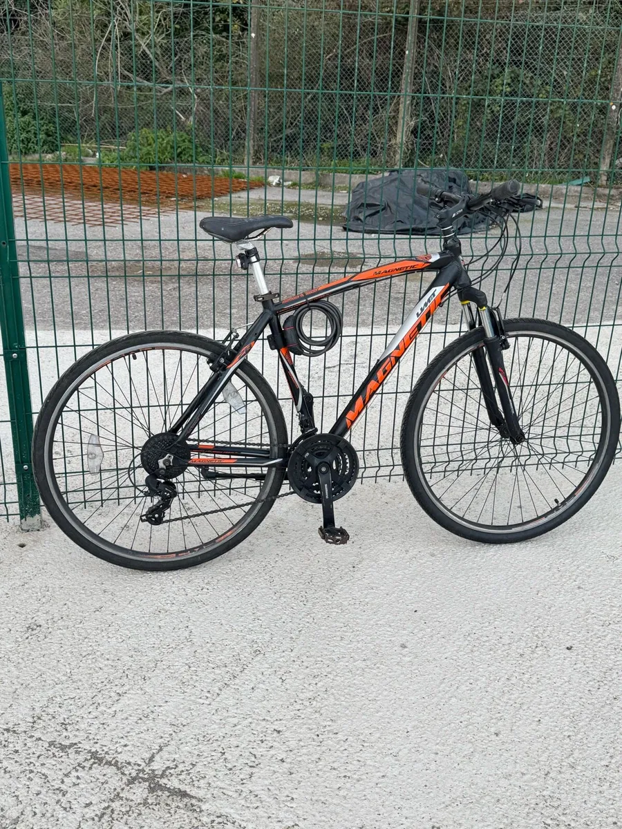 Adults magnetic bicycle - Image 2