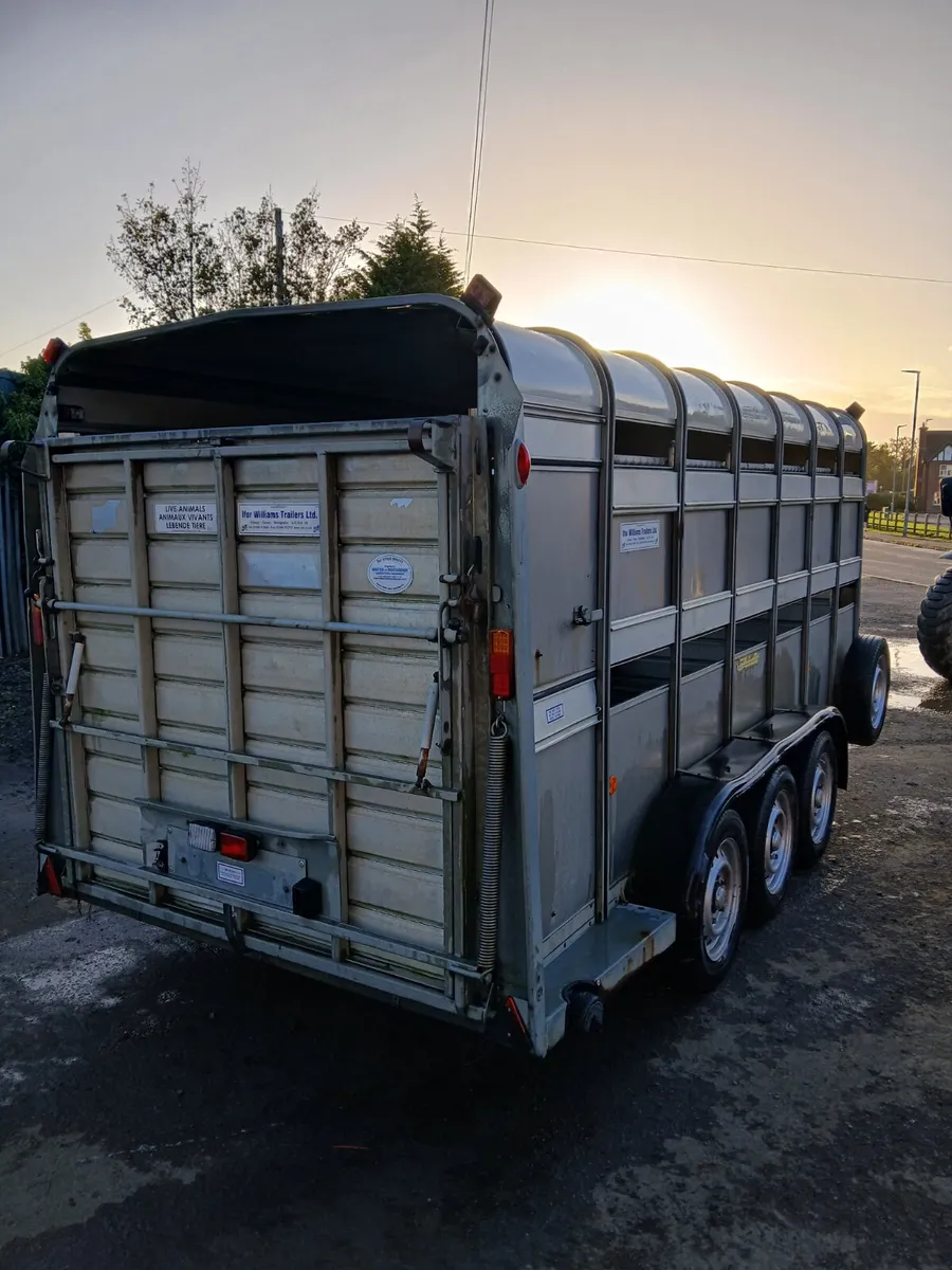 Ifor Williams 14ft cattle trailer - Image 4