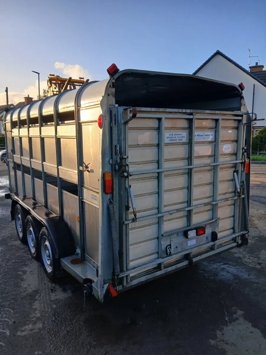 Ifor Williams 14ft cattle trailer - Image 3