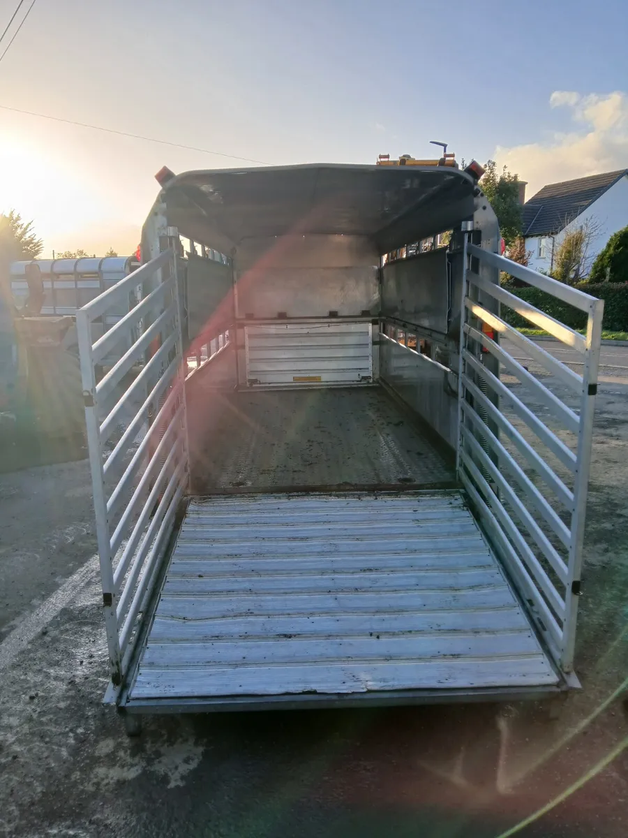 Ifor Williams 14ft cattle trailer - Image 2