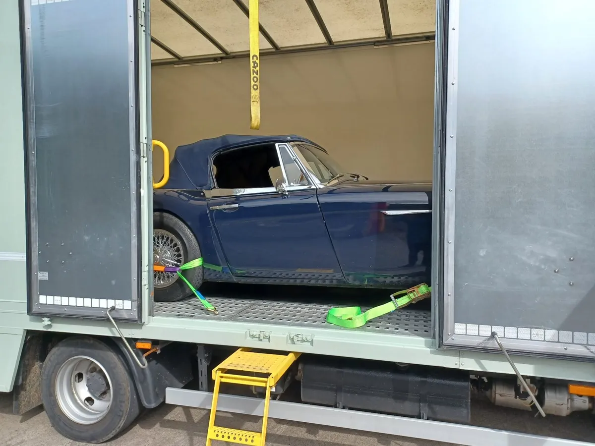 Closed in car transport - Image 3