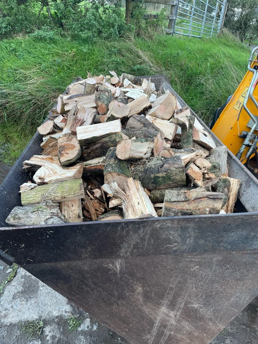Firewood/ sticks 🪵 - Image 4