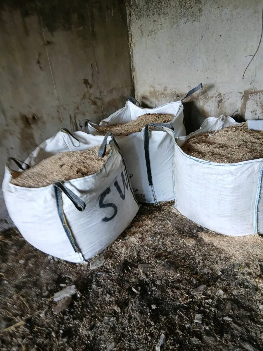 Sawdust - Image 1