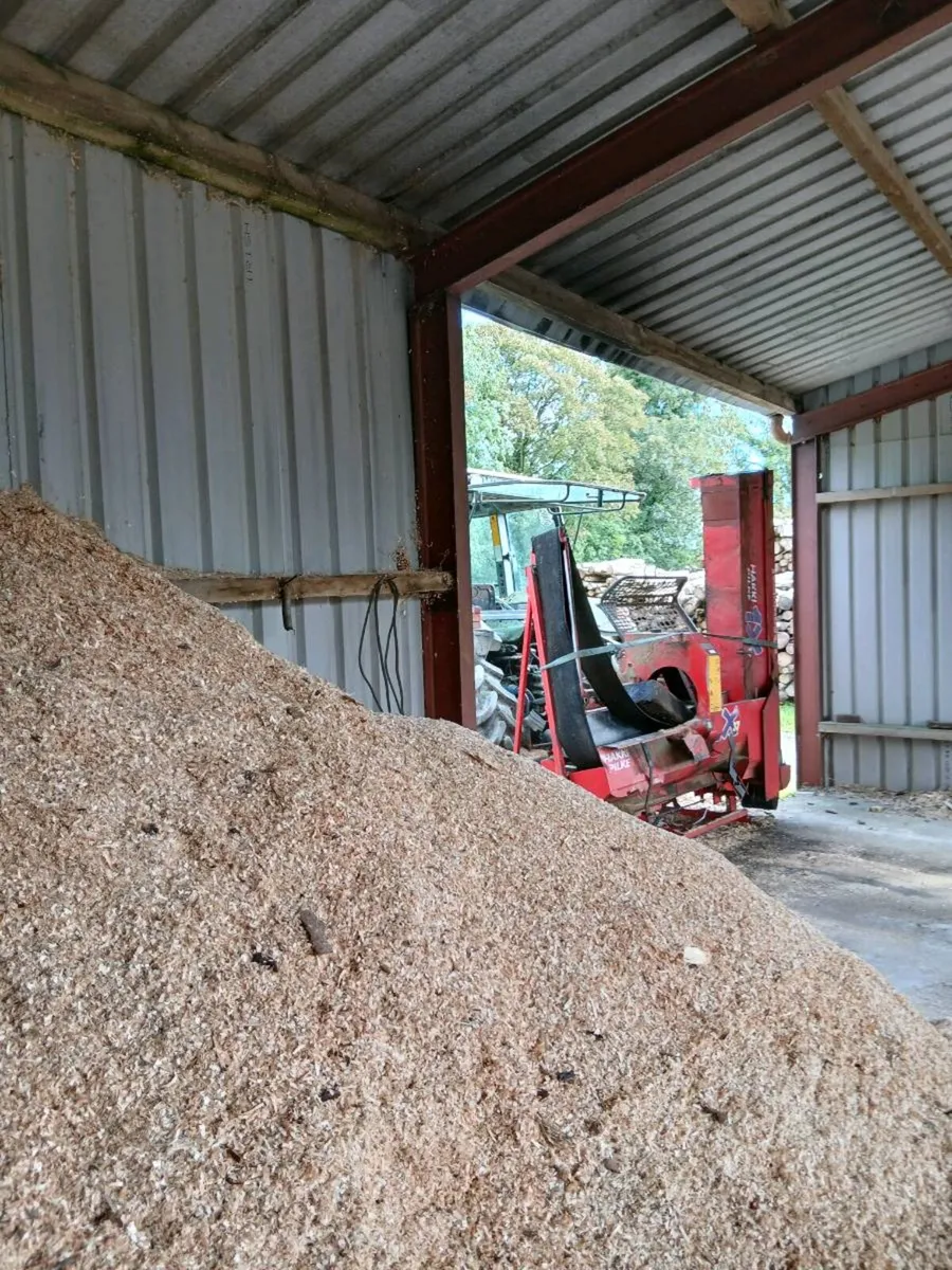 Sawdust - Image 2
