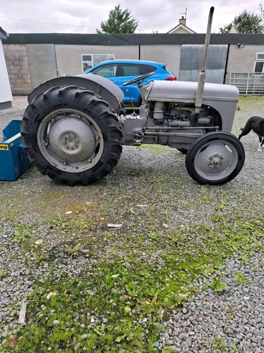 Massey Ferguson 20 Diesel - Image 1
