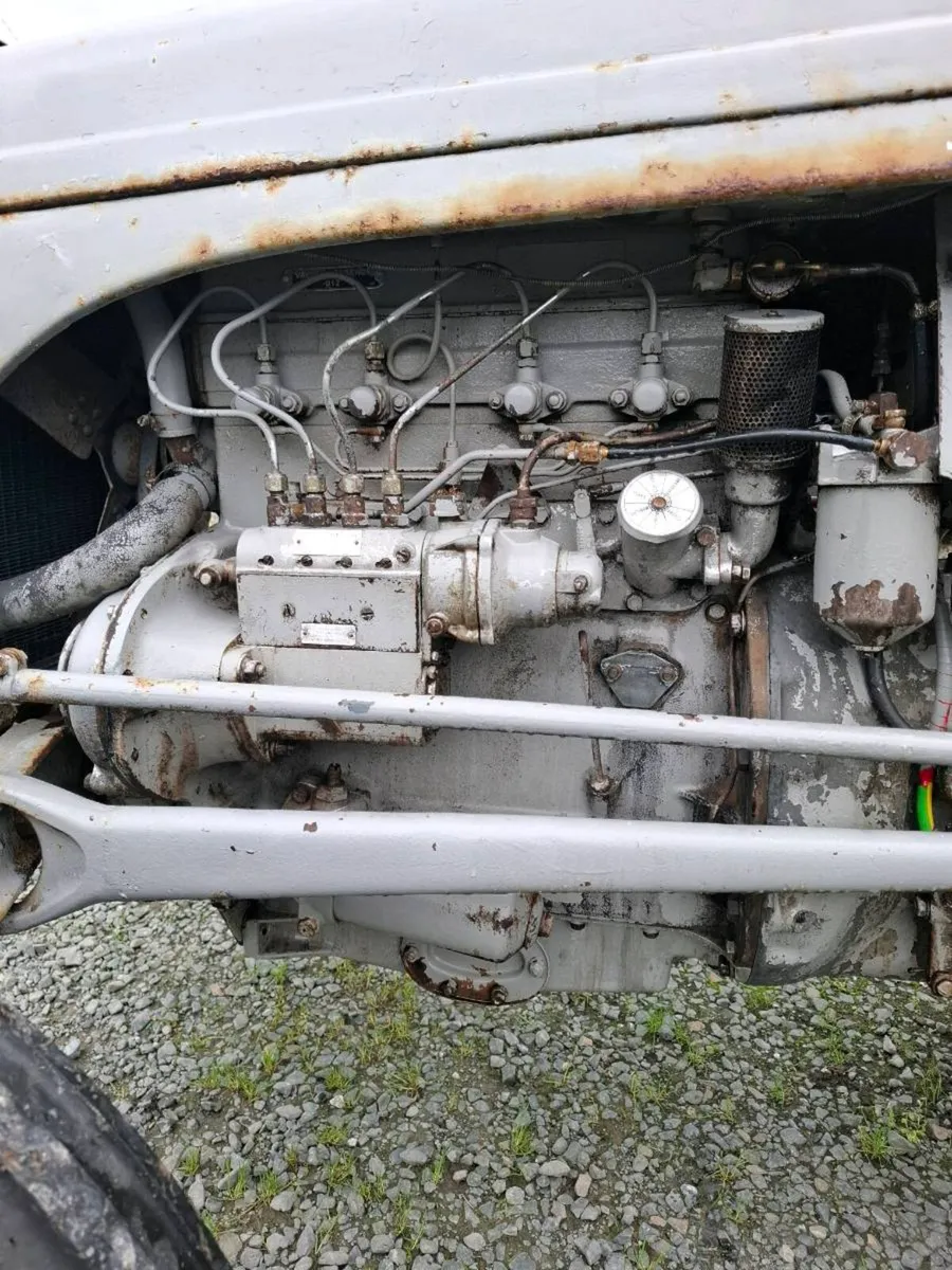Massey Ferguson 20 Diesel - Image 2
