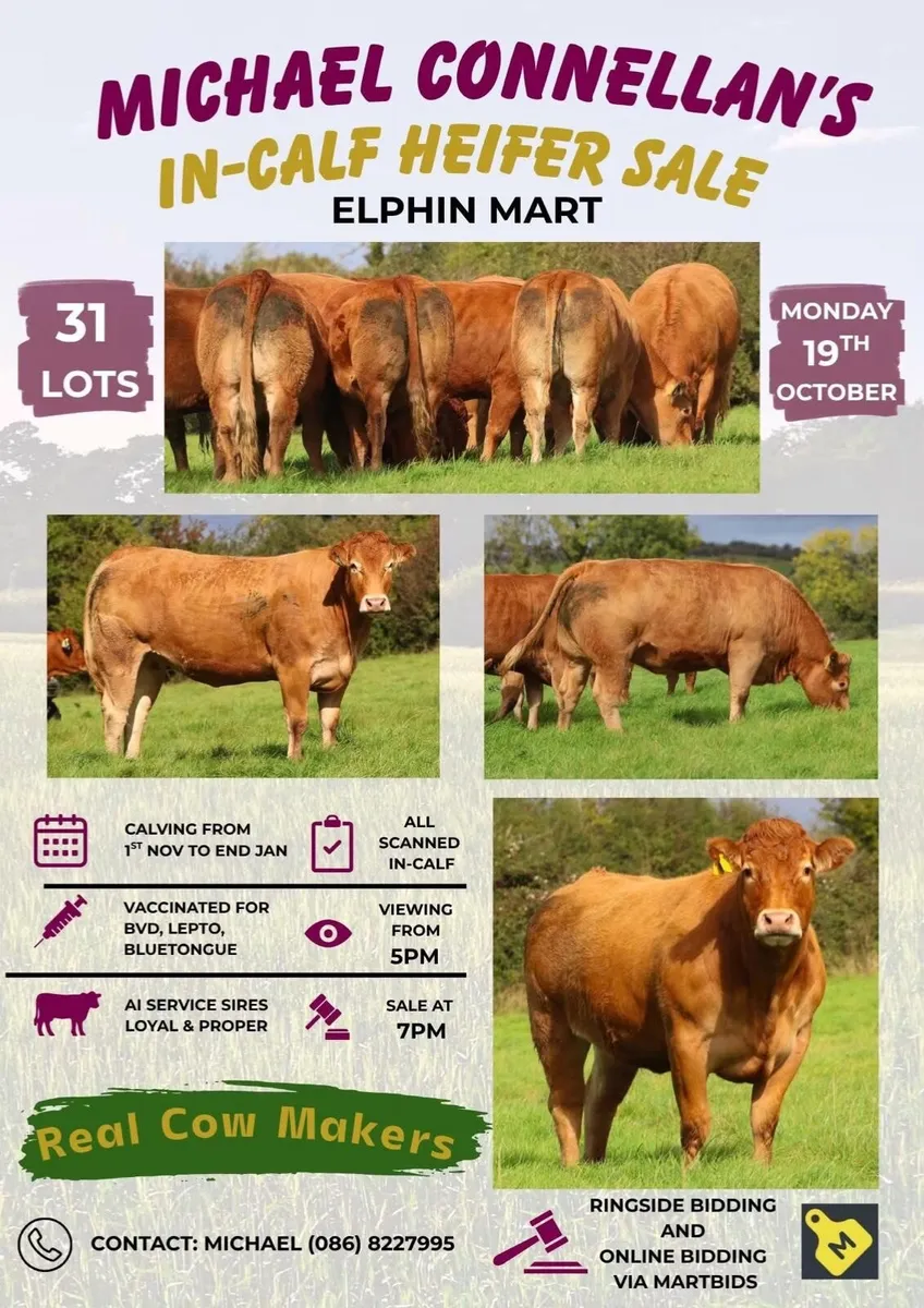 Livestock - Image 1