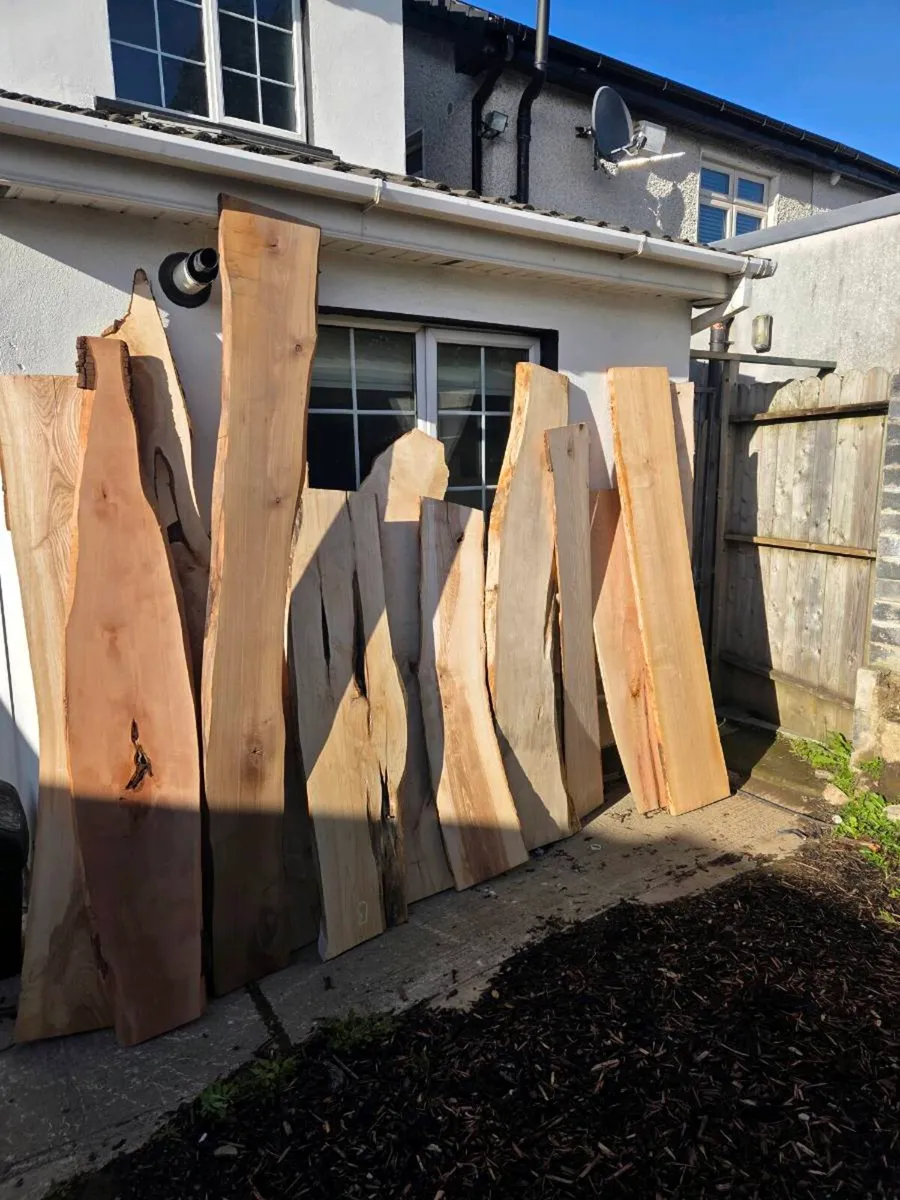 Live Edge Wood Slabs - Kiln dried - - Image 1