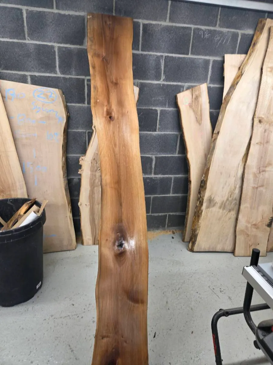 Live Edge Wood Slabs - Kiln dried - - Image 3