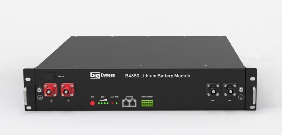 Dyness b4850 2.4kw Battery